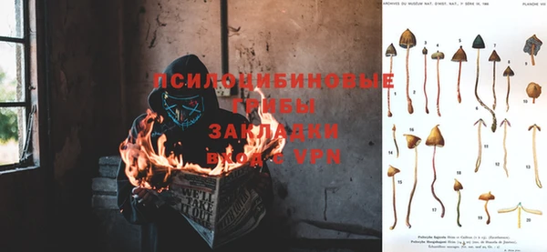 прущая мука Корсаков