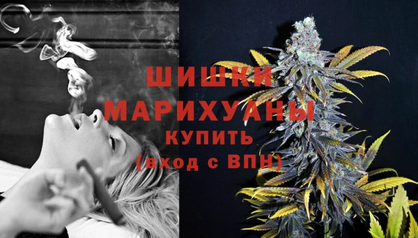 прущая мука Корсаков