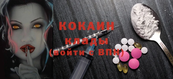 соль ск Коряжма