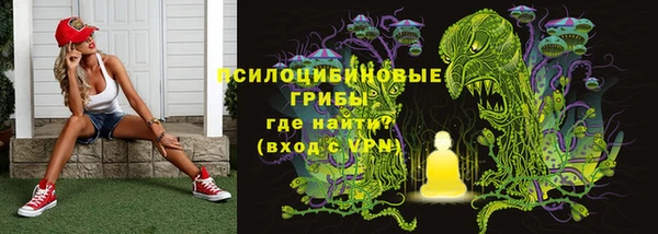 винт Кодинск