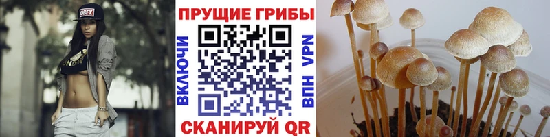 Псилоцибиновые грибы мухоморы  Купить  Когалым 